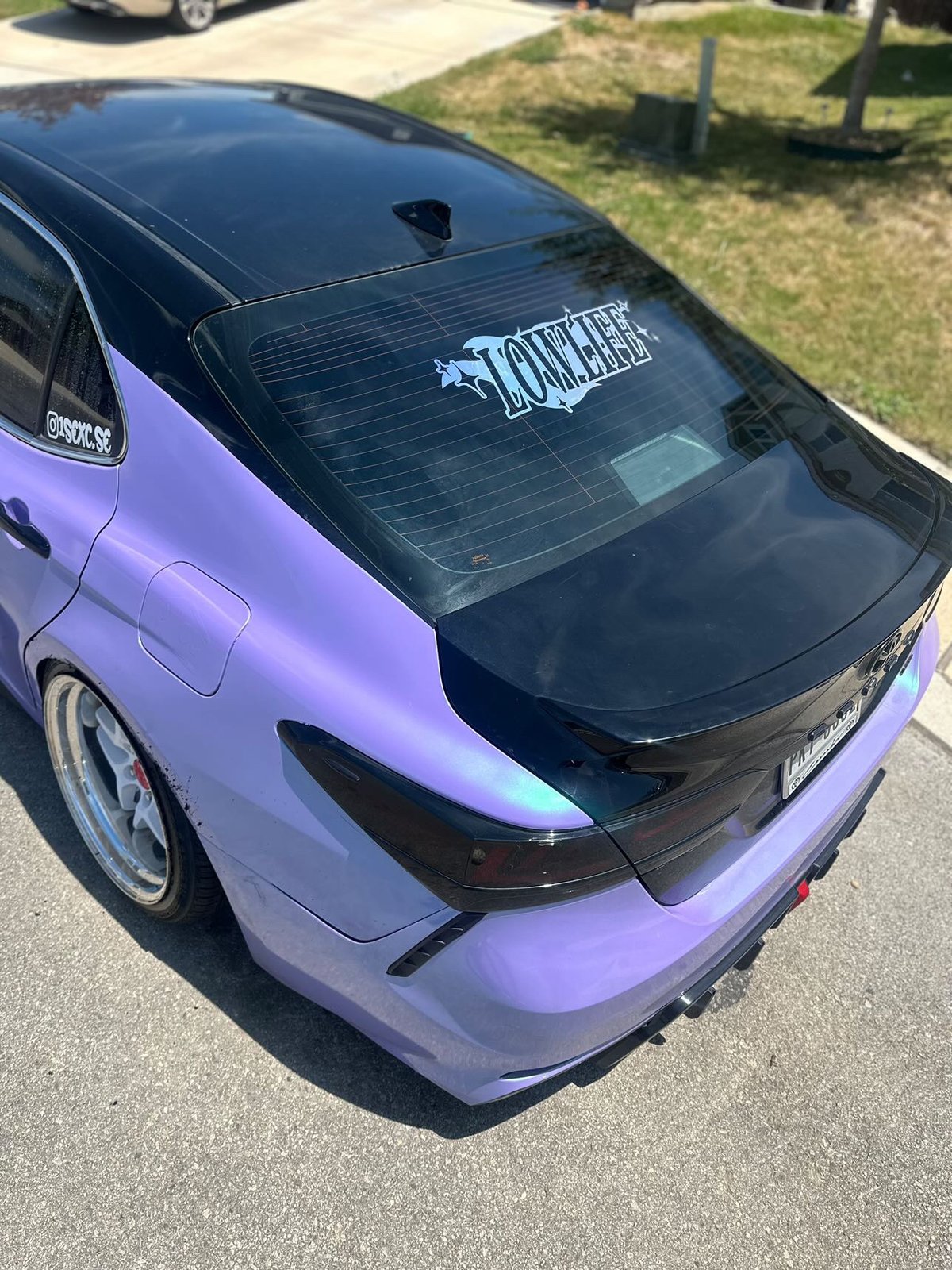 Lowlife star Banner
