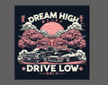 Dream high drive low